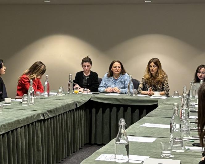 საკონსულტაციო შეხვედრა სამოქალაქო ორგანიზაციების წარმომადგენლებთან