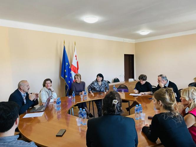 ქალთა საინფორმაციო ცენტრის წარმომადგენლებმა ხაშურის მუნიციპალიტეტის უწყებათშორისი კომისიის წევრებს შეხვდნენ